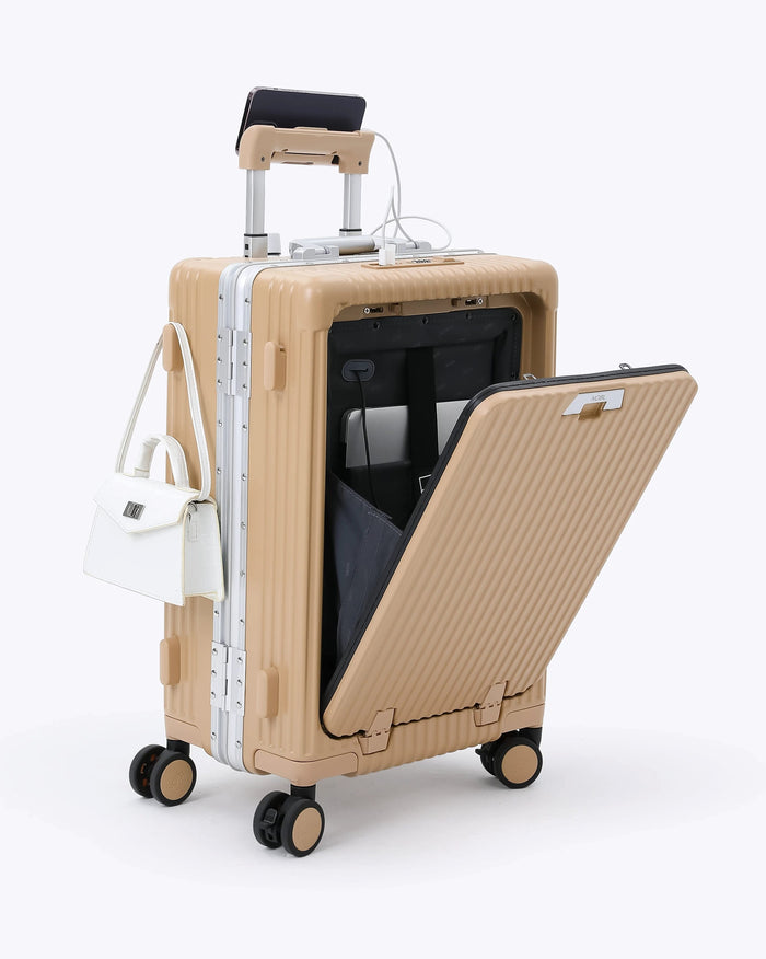 Carry-on + Check-in